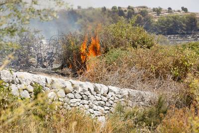 Bosbranden in Zuid-Italië eisen opnieuw een leven
