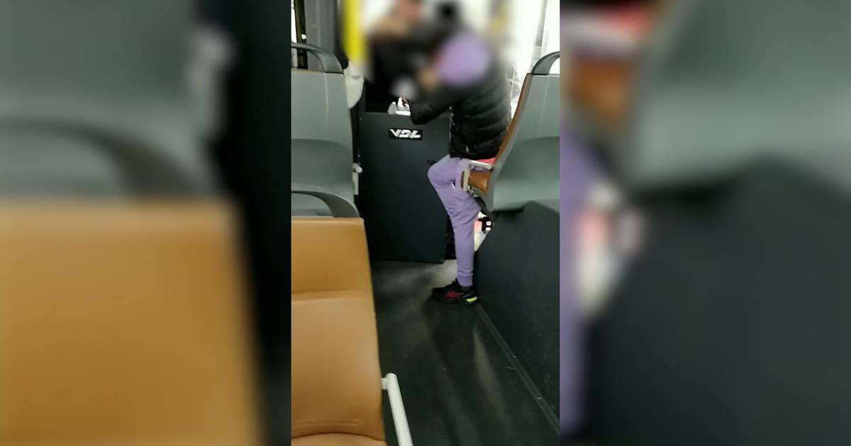 De Lijn bus driver and angry passenger fight as other passengers watch: “upset because he wasn’t allowed to get off” |  Antwerp