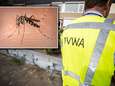 Buurt vreest ziekmakende muggen bij autobandenbedrijf in Montfoort, minister om hulp gevraagd