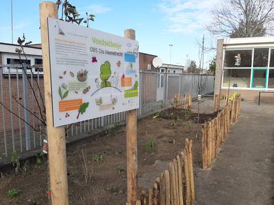Leerlingen van Die Heenetrecht eten uit eigen tuin