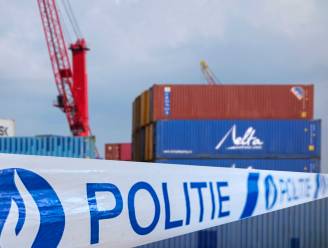 Wat wél de drugssmokkel in de Antwerpse haven kan verstoren: slimme neuzen en digitaal beveiligde containers