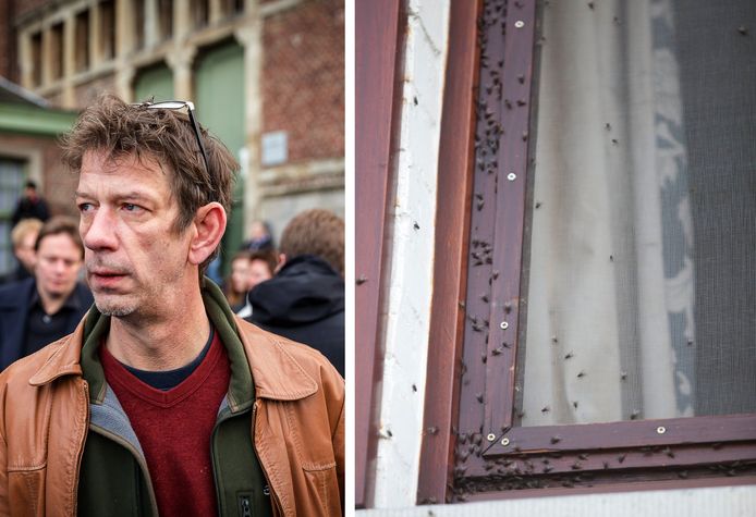 Wekenlang De Vliegenstront Van Mijn Plafonds Geschrobd Dusauchoit Krijgt Geen Bijval Na Talloze Klachten Over Buurman Binnenland Hln Be
