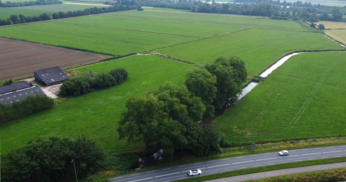 Hier in Asperen komt straks een nieuw bos van zestien voetbalvelden groot (maar dat duurt wel nog ev