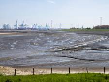 Staten: geen nieuwe naam voor Hedwige