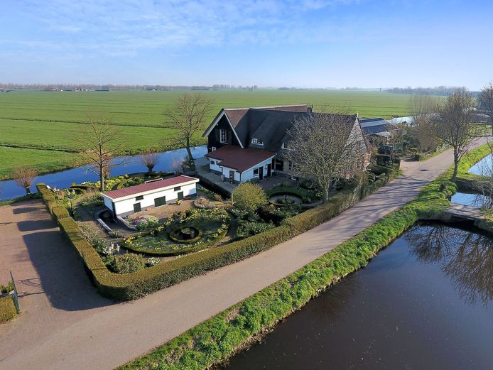 De Zilverboom in Groot-Ammers.