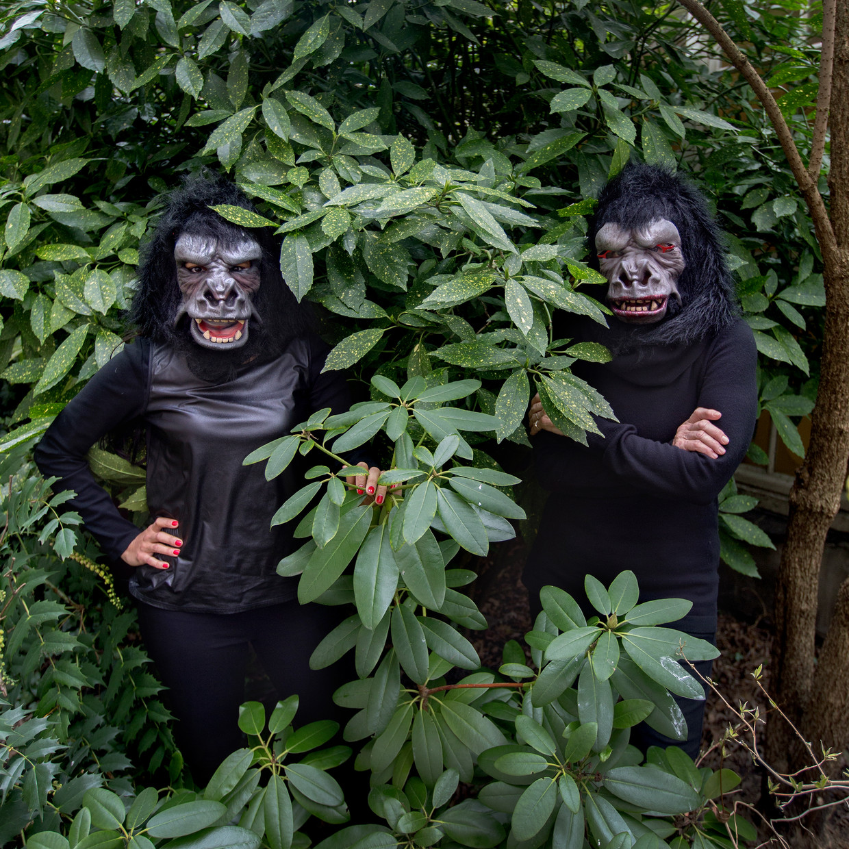 De Guerilla Girls Beeld Maartje Geels