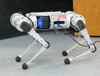 Robothond leert zichzelf sneller lopen en breekt eigen snelheidsrecord