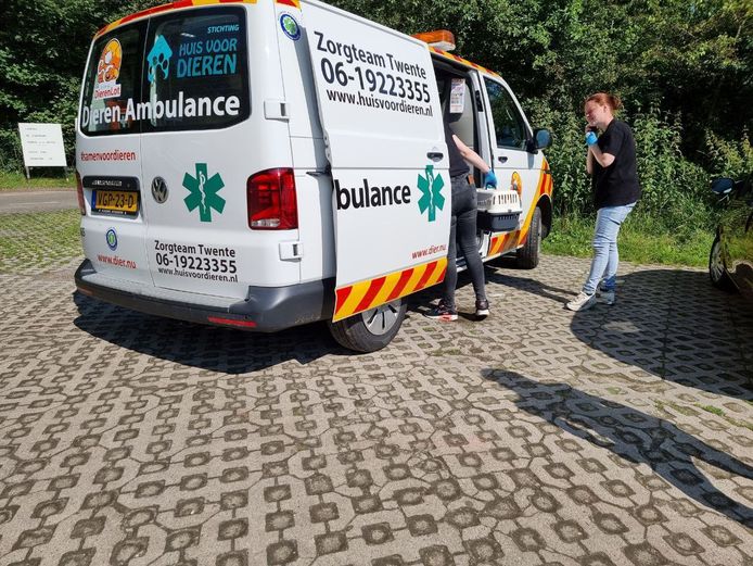 De dierenambulance is aanwezig bij camping De Zwaaikom