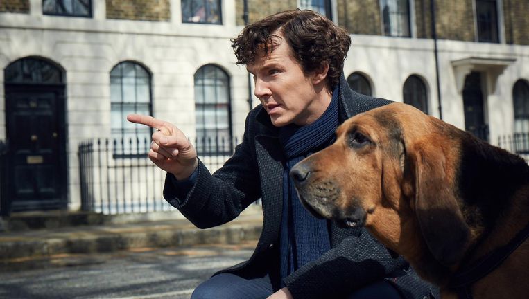 In het nieuwe seizoen krijgt Sherlock (Benedict Cumberbatch hulp van een speurhond. Beeld  