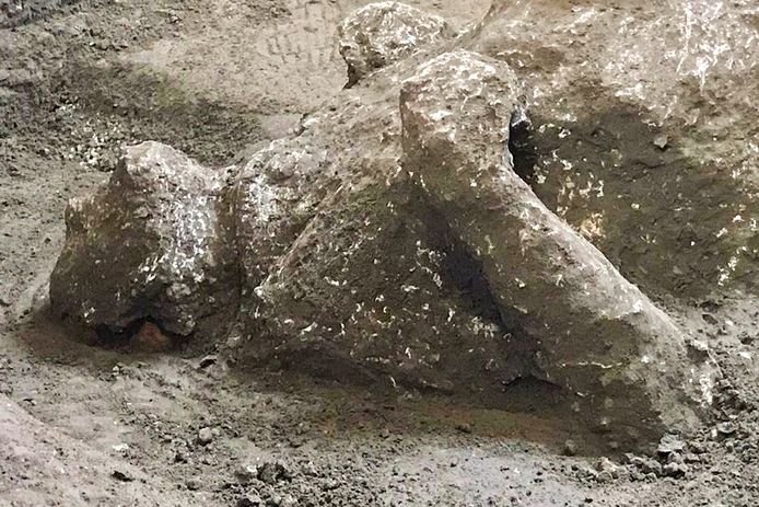 De twee mannen werden gevonden tijdens recente opgravingen van een villa in Civita Giuliana in de buitenwijken van Pompeï.