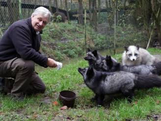 "Dieren begrijpen? Dan moet je er tussen staan"