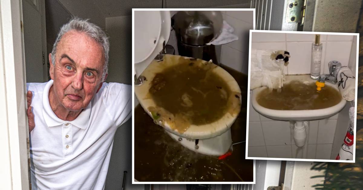 Drollen drijven door huis van Leo na stortbui in Zwolle: ‘In alle hoeken lag stront, van de hele buu