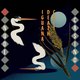 cd recensie: Surfen op rammelende gitaargolven
