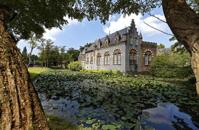 Een aantal bomen op het landgoed rondom Kasteel Stapelen is ziek en moet worden gekapt.