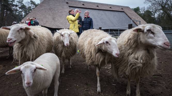 Geen grote evenementen op Loenermark in broedseizoen: ‘Kraamkamer respecteren’