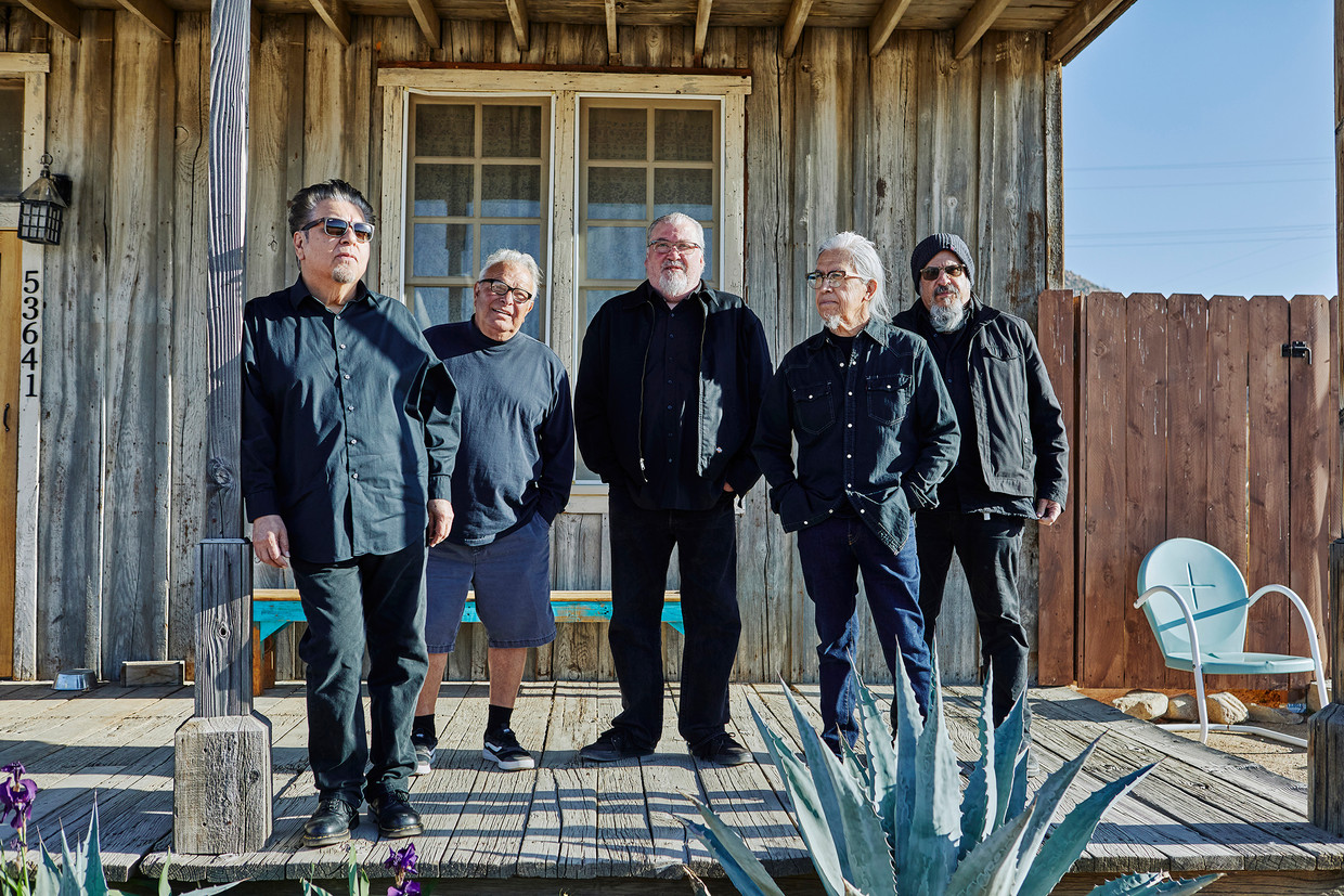 Los Lobos Beeld PIERO F GIUNTI