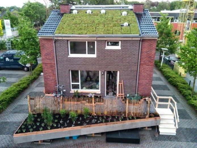 Een groendak ziet er niet alleen mooi uit, de planten isoleren en beschermen ook het gebouw.