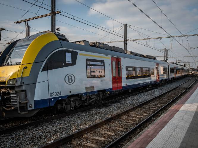 Koperdieven stelen 120 meter kabel, treinverkeer tussen Antwerpen en Brussel verstoord 