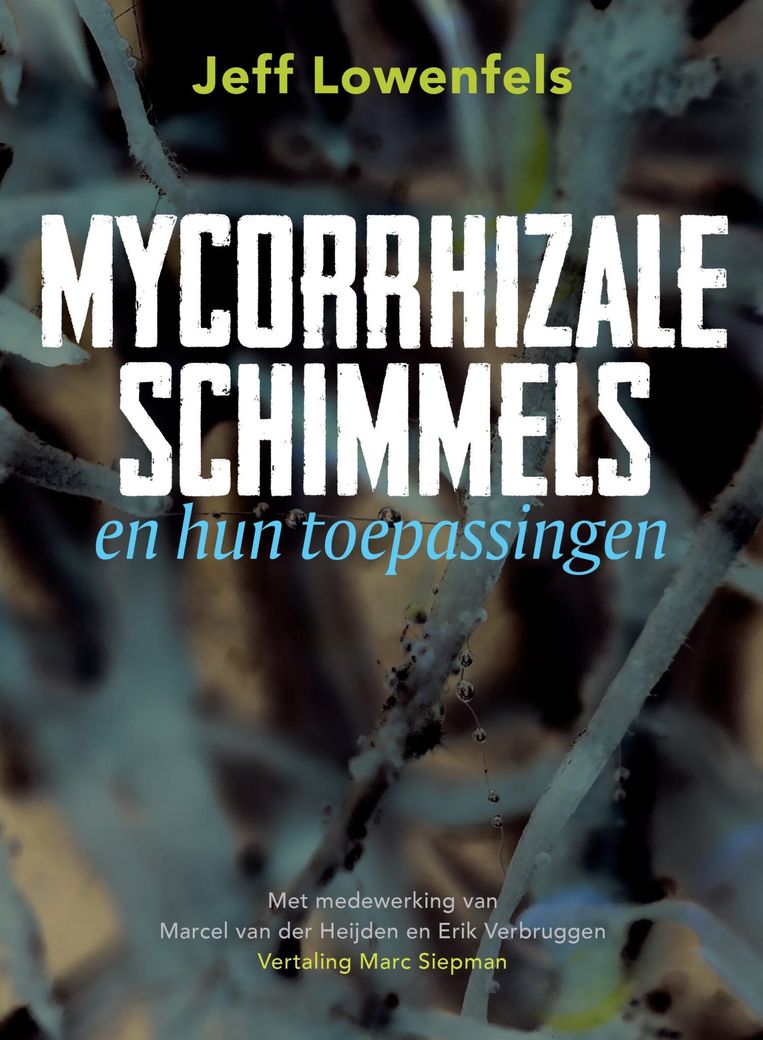null Beeld   