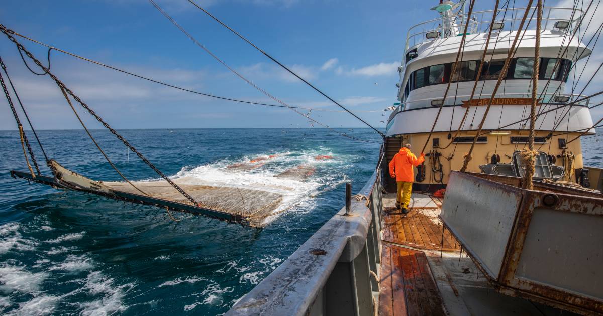 La France bloque à nouveau la pêche hollandaise |  À l’étranger