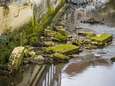 Tot 250 miljoen euro schade door wateroverlast Limburg en Brabant