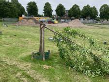 Tien bomen vernield in park in Zeewolde, gemeente plant later nieuwe exemplaren