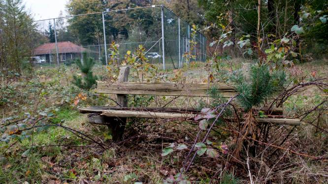 Slechte vakantieparken in Apeldoorn omvormen tot woonwijk? Waakzaamheid geboden, vindt Recron