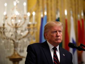 Bijna twee derde Amerikanen beschouwt telefoontje Trump-Zelensky als “ernstig probleem”