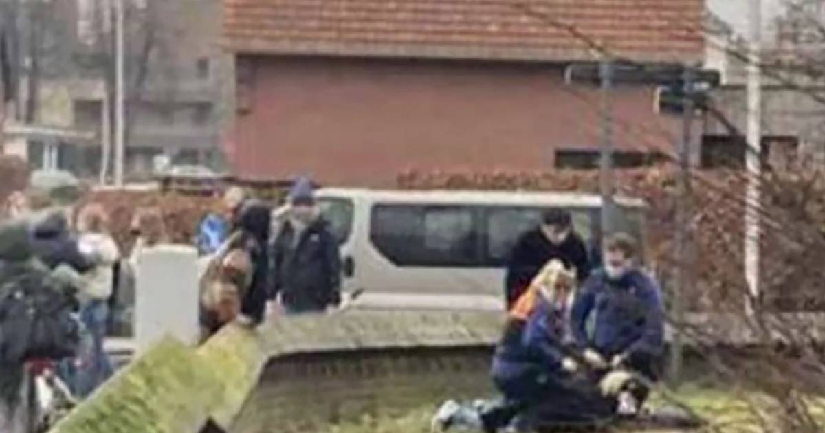 Belgijski agent die door 12-jarige jongen werd neergestoken mag van ic-afdeling af |  Buitenland
