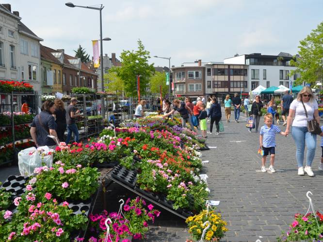 Wat te doen in de Denderstreek en de Vlaamse Ardennen dit weekend: van Topdag in Aalst tot bloemenmarkt in Ninove