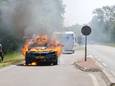 Een bluspoging van omstanders bleek vruchteloos; de auto brandde volledig uit.