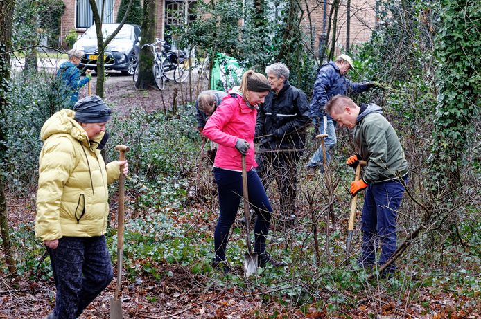 Buurtbewoners van de zandverstuiving in Rosmalen maakten zondag korte metten met de Amerikaanse vogelkers.