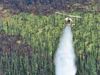 Piloot blushelikopter omgekomen bij bestrijden bosbranden in Canada