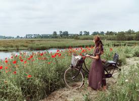 Dít zijn 5 mooiste fietsroutes in Nederland