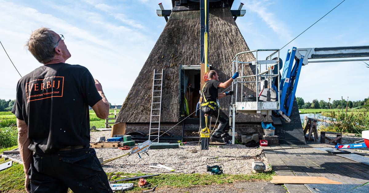 Westveense Molen uit 1676 wordt voor tonnen opgeknapt: ‘Dit hoort gewoon bij Nederland’