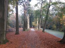 Natuurvereniging schaart zich achter plan voor voormalig Land van Ooit: ruimte voor ‘landschapszone’ in Steenenburg