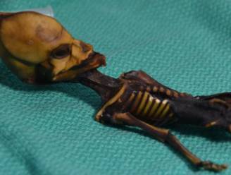 Raadsel opgelost: vreemde mini-mummie is dan toch geen alien