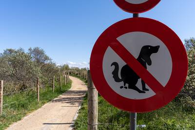 “Moeten we het opeten misschien?”: affiches tegen hondenpoep zorgen voor verwarring in Aalter