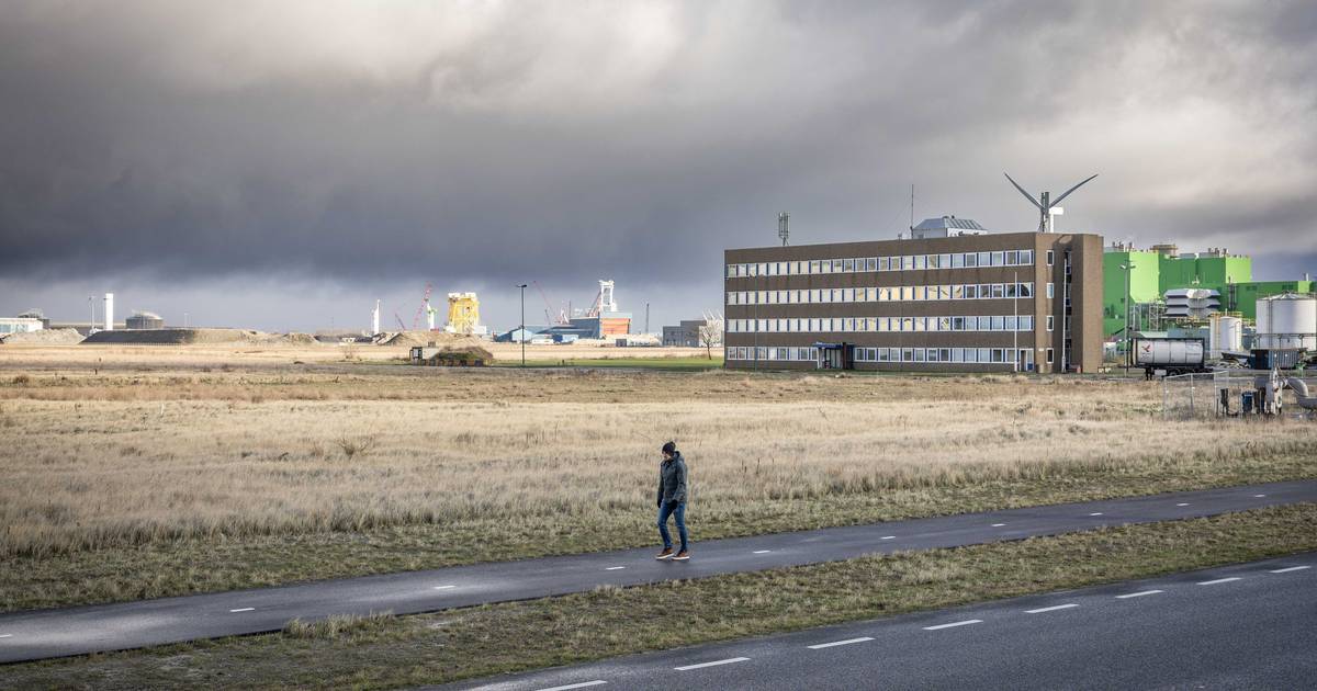Zorgen over ammoniakopslag in Vlissingen-Oost: ‘Het kan toch een bommetje in de buurt zijn’