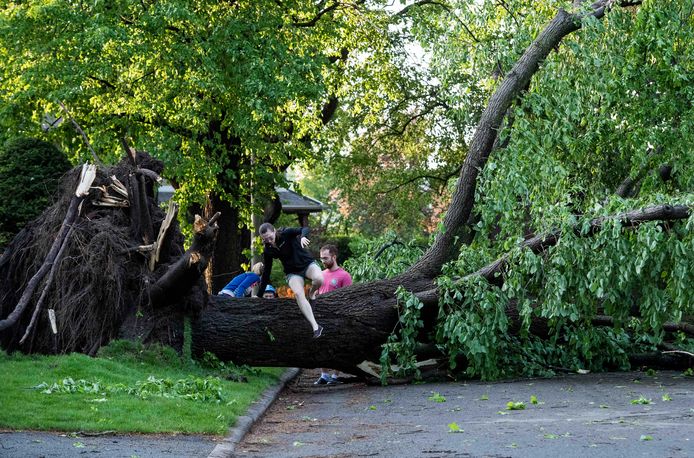 A resident climbs over a tree that was taken down and uprooted by a major storm in Ottawa, Canada, Saturday, May 21, 2022. (Justin Tang/The Canadian Press via AP)