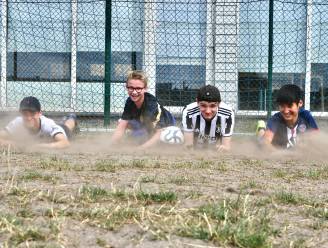 Droogte verandert Lichtervelds voetbalplein in stofbak: “Overgangsfase in afwachting van kunstgras”