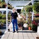 Omzet tuinbranche groeit tot 1,53 miljard euro door vergroening