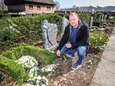 Rozen van achterkleinkinderen blijken plots verdwenen van gedenksteen: gemeente denkt na over camerabewaking op begraafplaats