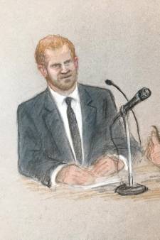Devant la cour, Harry sort de la réserve royale et critique un gouvernement britannique "au plus bas"