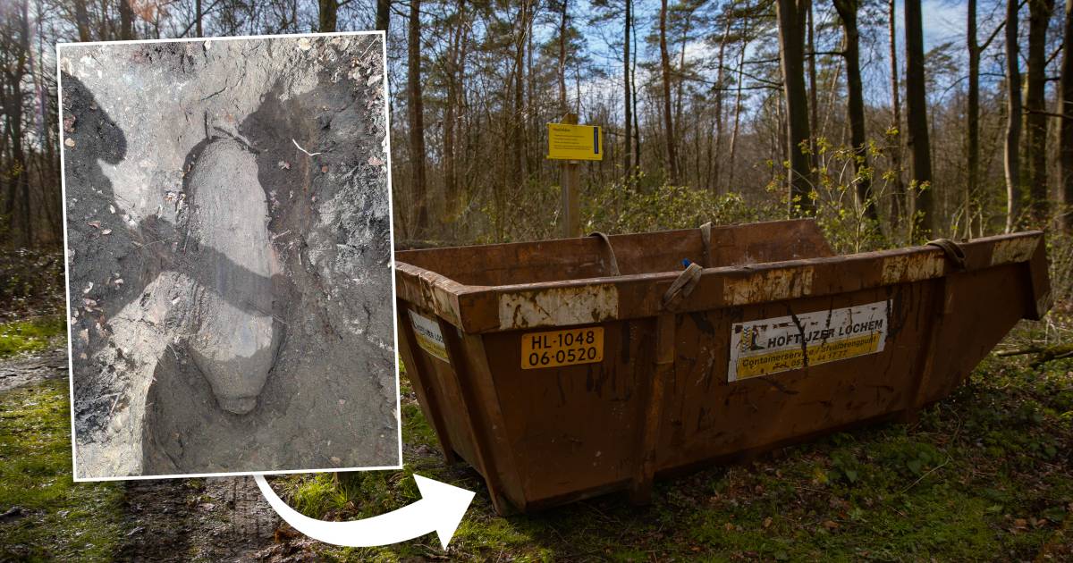 Zeldzame brandbom in bos bij Epse blijkt intact én gewapend: ‘Grote kans op bosbrand als-ie afgaat' .