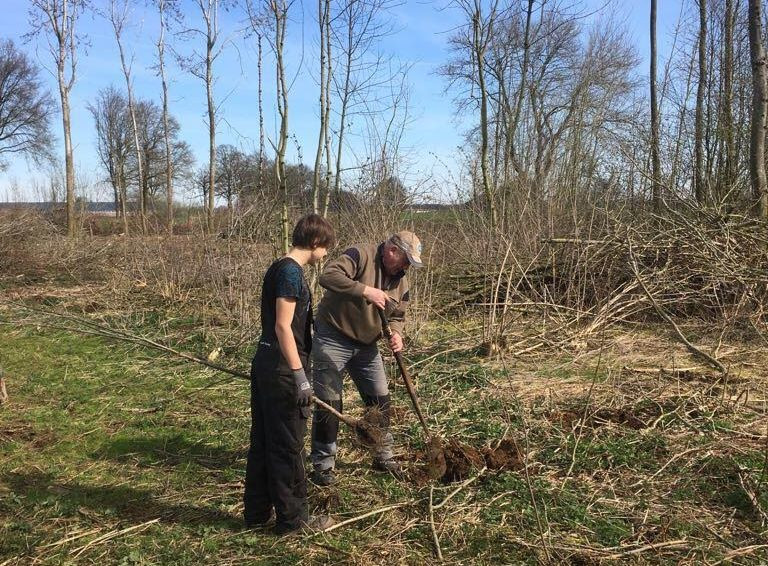 Biotoopdag Holten: Vrijwilligers planten jonge boompjes rondom Holten