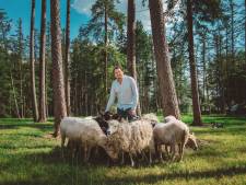 Vergeet mindfulness, ontspannen doe je tegenwoordig met ‘schaapfulness’ (en ja, dat is met schapen)