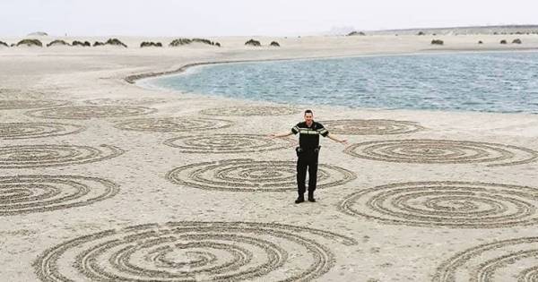 'Graancirkels' gevonden op strand in Zuid-Holland | Binnenland - Tubantia