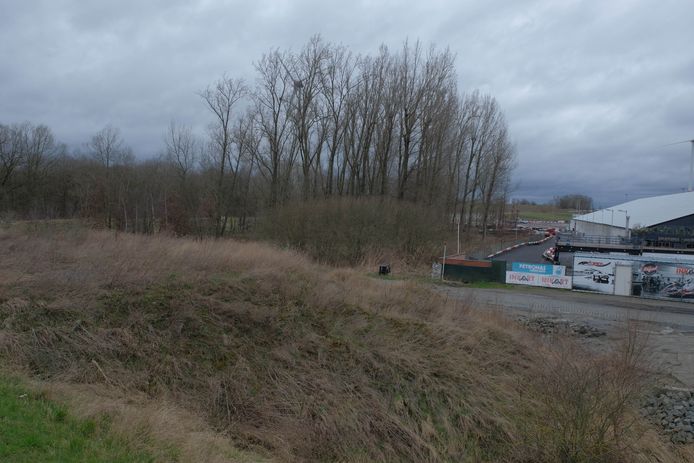 Het oude gipsstort ligt naast Inkart en langs de A12 in Ruisbroek