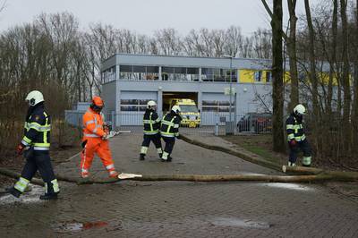 Omgevallen boom blokkeert uitrit ambulance Beuningen